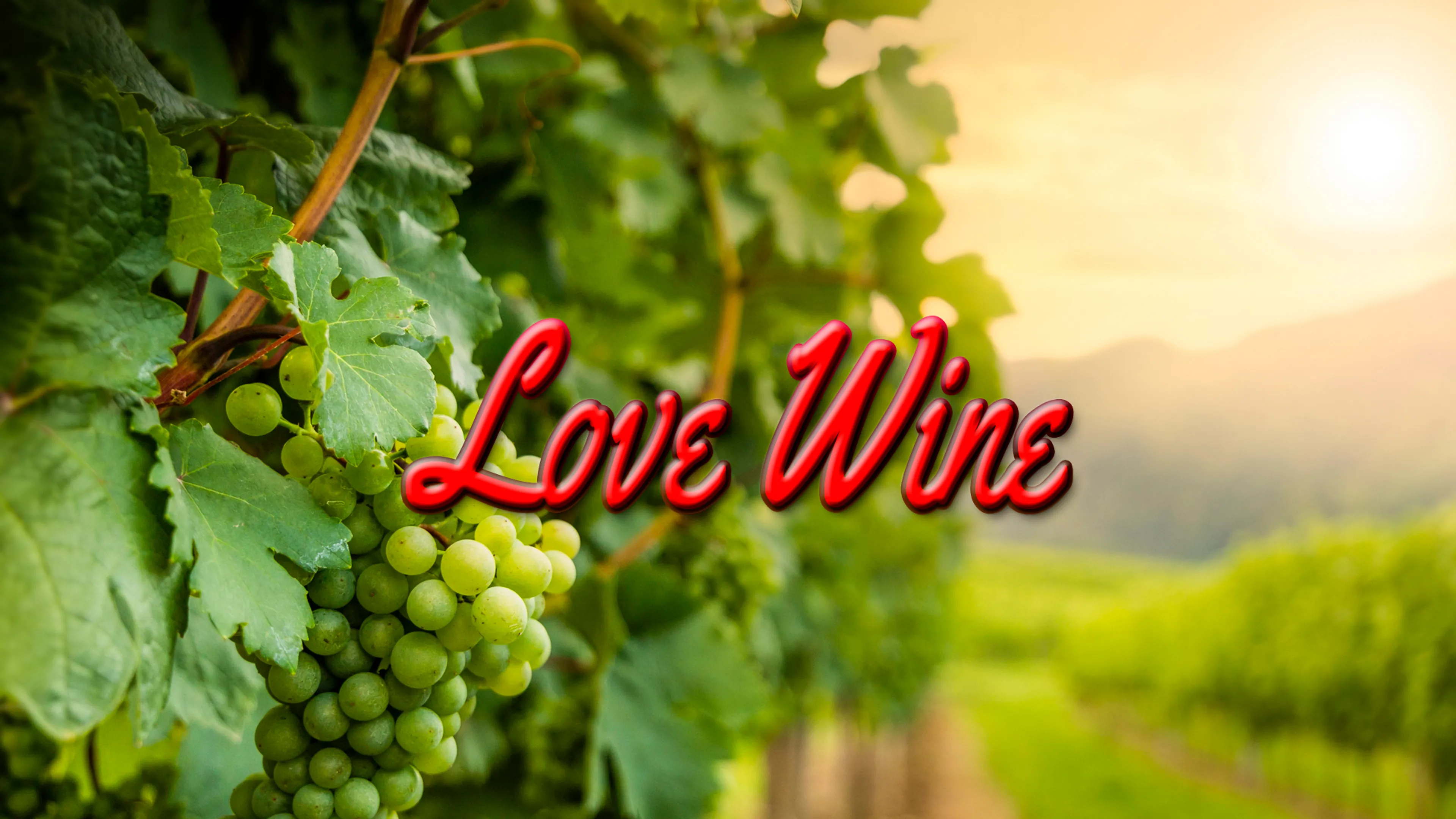 Love Wine poster